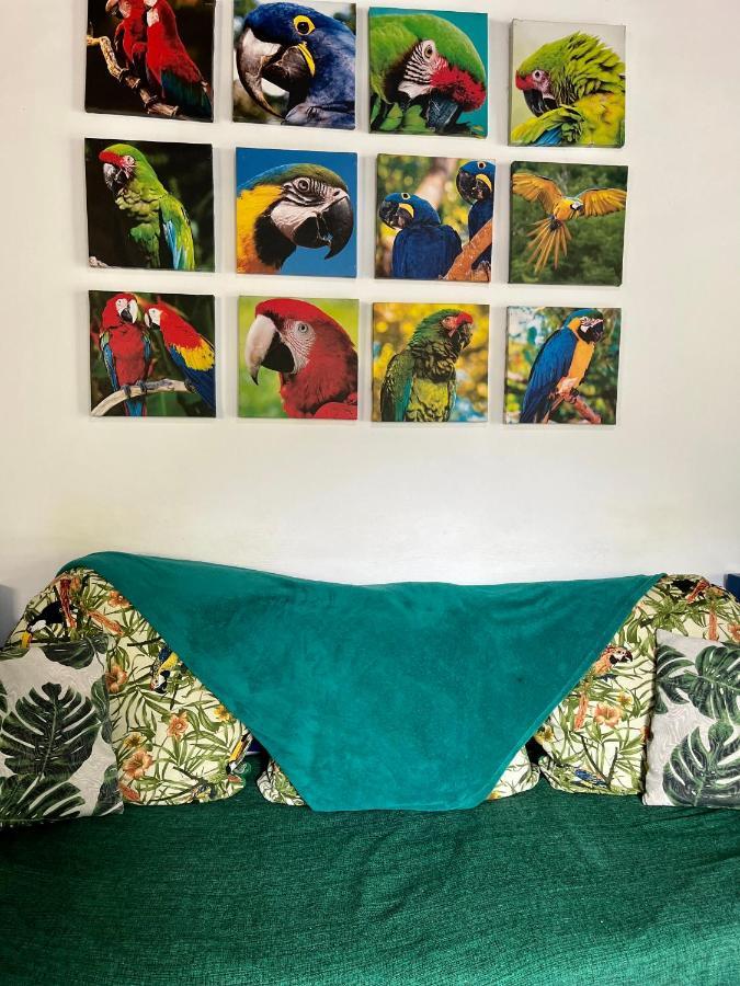 Hostal Papagaio *